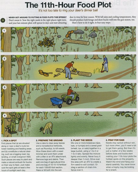 Late Food Plots