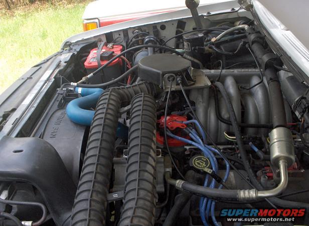 1993 Ford Bronco engine bay with blue hoses and red distributor cap
