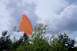 2005 Yamaha GRIZZLY 660 - An orange flag flutters on a pole amidst trees under a dramatic, cloudy sky.
