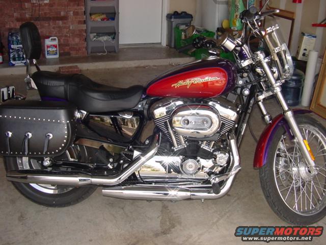 2006 Harley-Davidson Sportster Custom “Plum Crazy Purple”