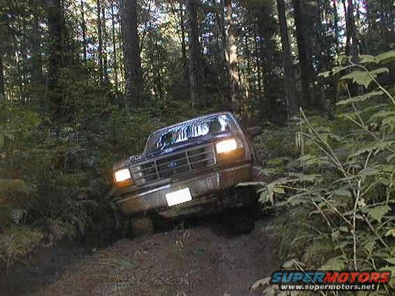 Planet Endor?
