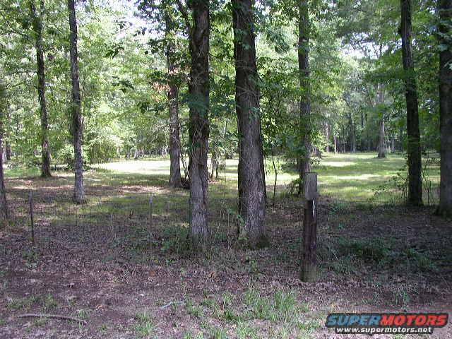 Wooded area with trees, grass, and a wire fence. A wooden post with a white marking is visible