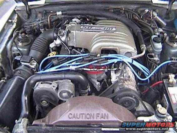 A 5.0 In Its Purest Form