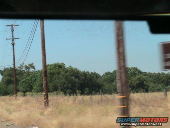 view from car window of telephone poles and trees along a dry grassy roadside