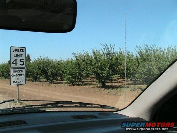View from inside a vehicle looking at a speed limit 45 sign and rows of trees