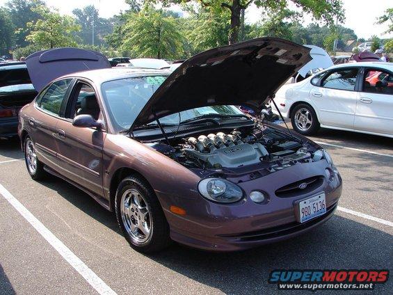 2006-sho-convention130.jpg Rose Mist SHO