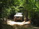 1995 Ford C-350 (Centurion Conversions) - A white Ford Bronco drives through a wooded area on a sunny day.