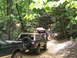 1995 Ford C-350 (Centurion Conversions) - Multiple off-road vehicles are seen on a dirt path through a forest during an event.