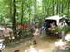 1995 Ford C-350 (Centurion Conversions) - A group of people relax near a vintage pickup truck in a wooded setting.