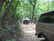 1995 Ford C-350 (Centurion Conversions) - Off-road vehicles navigate a wooded trail during an event.
