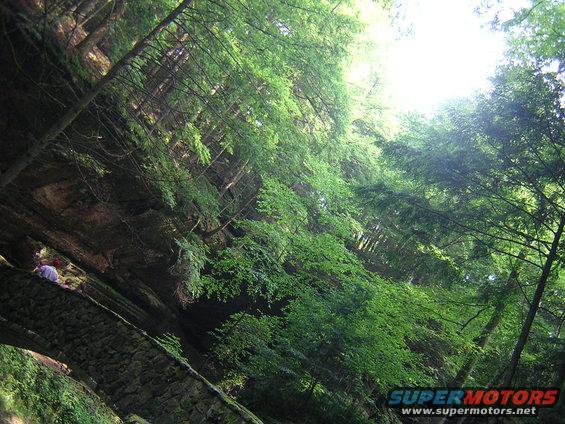 Stone bridge arching over a stream in a lush green forest with sunlight filtering through the trees