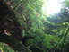 DSCN1664c.jpg