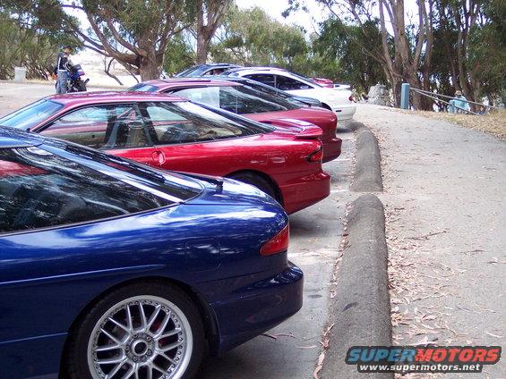 Blue and red Ford Probe cars parked in a row, with trees and a path in the background