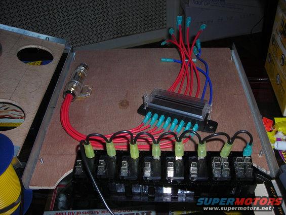 Fuse box with red and blue wires connected to multiple fuse slots. A large inline fuse holder is also visible