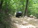 1995 Ford C-350 (Centurion Conversions) - A modified off-road truck navigates a challenging dirt path through a wooded area.