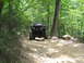 1995 Ford C-350 (Centurion Conversions) - A heavily modified truck navigates a challenging off-road trail surrounded by dense forest foliage.