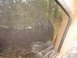 1995 Ford C-350 (Centurion Conversions) - A white van is visible in a wooded area, seen through the window of another vehicle.