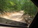 1995 Ford C-350 (Centurion Conversions) - Driving on a rough, unpaved trail through a dense forest.