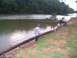 1995 Ford C-350 (Centurion Conversions) - A young boy stands on the shore of a lake, looking out at the water with fallen trees in the background.