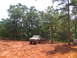 1995 Ford C-350 (Centurion Conversions) - Off-road vehicles navigate a muddy terrain surrounded by trees, with spectators watching on the right.