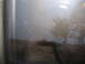 1995 Ford C-350 (Centurion Conversions) - View through a window shows a reflection of trees and sky over a blurry landscape.