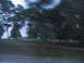 1995 Ford C-350 (Centurion Conversions) - Motion blur obscures the details of a landscape with trees and grass, suggesting a fast-moving viewpoint.