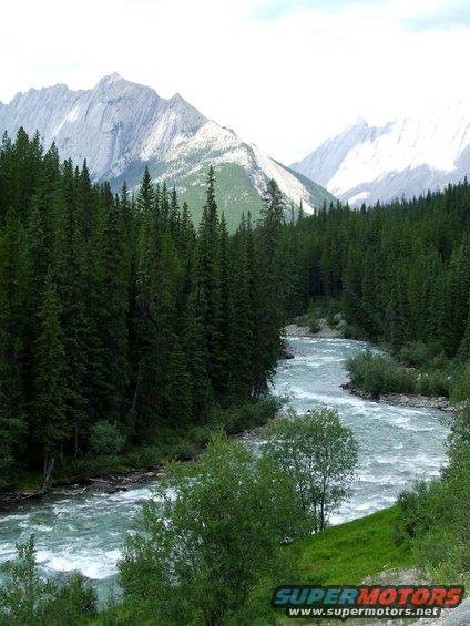 Mountain landscape with a river flowing through a dense forest