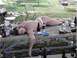 1978 Ford F-250 - A person appears to have passed out on a table surrounded by empty beer bottles and cans.