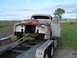 1955 Ford F-100 - This weathered pickup truck, likely from the early 1950s, is being transported on a trailer.