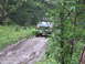 1990 Ford Bronco - A 1990 Ford Bronco navigates a wet and muddy path through a dense forest.