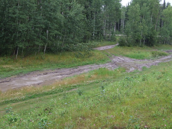 Muddy, rutted dirt road with grass and trees