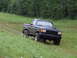 1990 Ford Bronco - This black pickup truck, likely from the 1990s, navigates a grassy, wooded terrain.