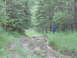 1990 Ford Bronco - A person walks down a wet, muddy path through a dense forest.