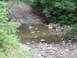 1990 Ford Bronco - A stream crosses a rocky path surrounded by trees and vegetation.
