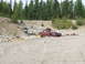 1990 Ford Bronco - Two heavily damaged vehicles sit abandoned in a wooded junkyard area.