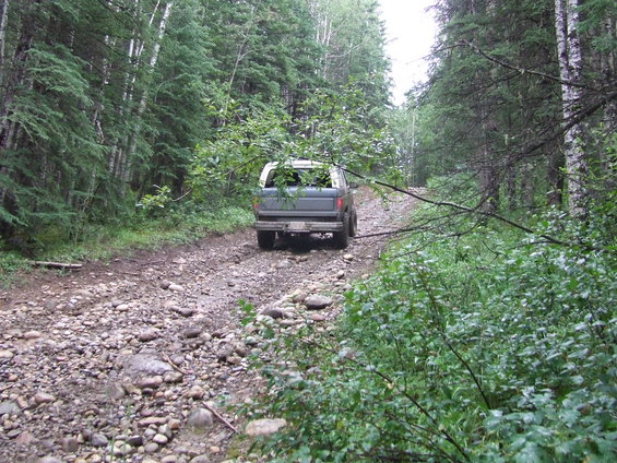 Ford Bronco driving on a rocky, wooded trail