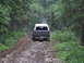 1990 Ford Bronco - A Ford Bronco navigates a rough, unpaved path through a dense forest.