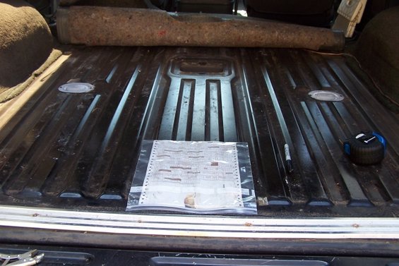 100_1767.jpg Guess what I found under the mat.