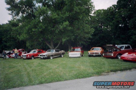 Several classic cars parked on a grassy field under a large tree. Some have hoods open