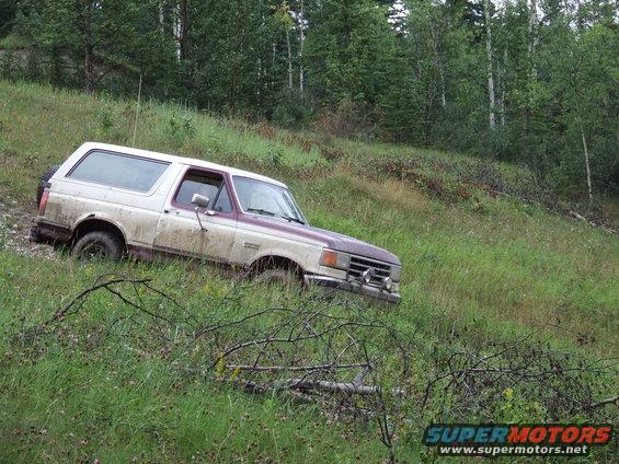 1988 Ford Bronco parked on a grassy slope with trees in the background