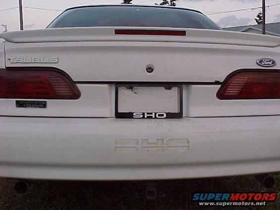 sho-5.jpg 