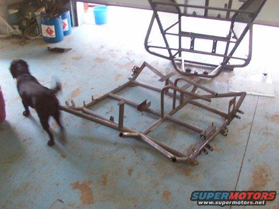 dog near metal frame in garage