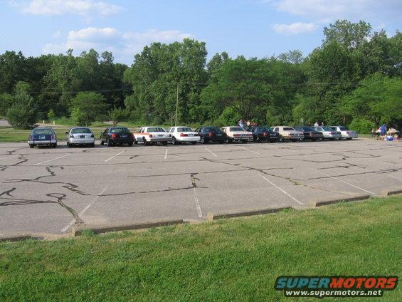 Rear view of a line of sedans, including a 1988 Mercury Grand Marquis, parked in a lot on a sunny day