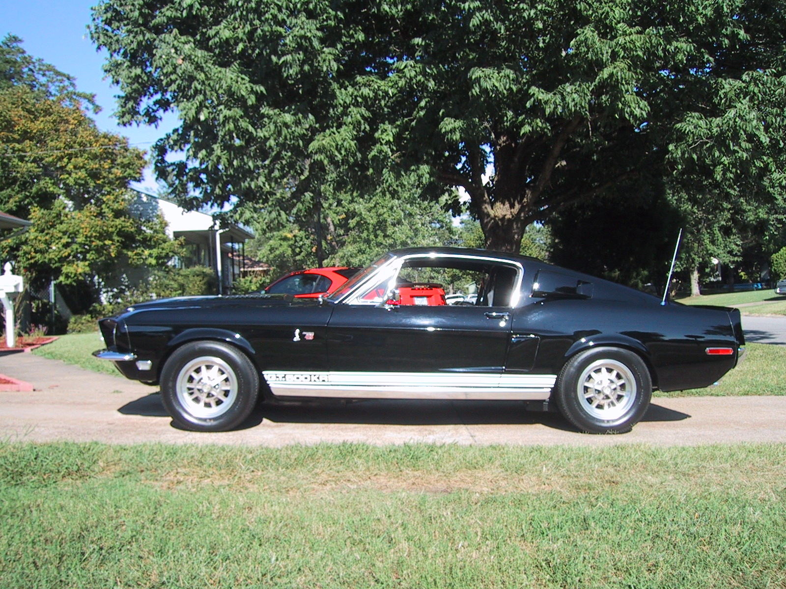 Shelby GT500