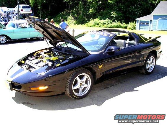 Black Pontiac Firebird with hood open, showing engine. Another classic car is parked nearby