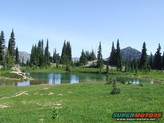 Mountain lake surrounded by pine trees under a clear blue sky