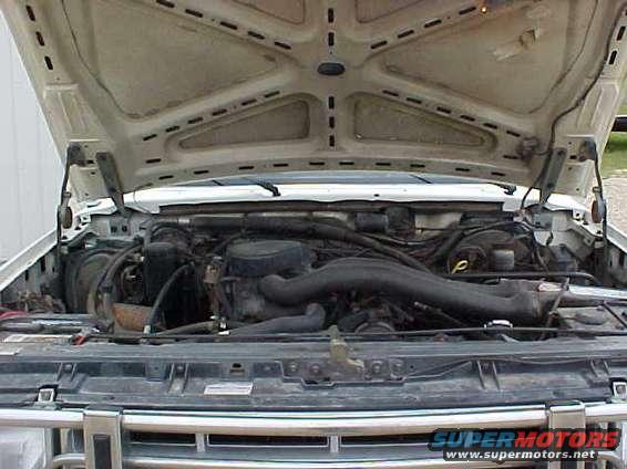 stock302.jpg Yes, it's a stock 302.  I'm wanting to get a rebuilt one and beef it up.