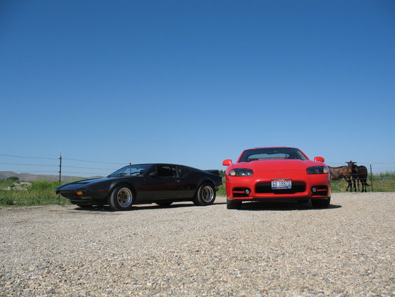 1999 Mitsubishi 3000GT and a black DeTomaso Pantera parked on gravel with goats in background