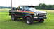 1979 Ford Bronco - This black Ford Bronco features a distinctive stripe package and a front bull bar, parked on a grassy field.