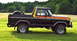 1979 Ford Bronco - This 1979 Ford Bronco features a distinctive stripe package and a spare tire mounted on the rear.
